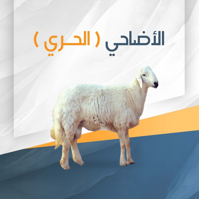 اضحية حري