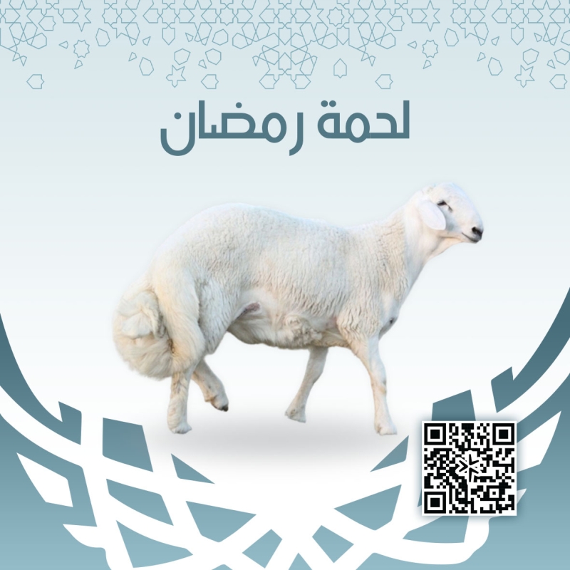 لحمة رمضان ذبيحة